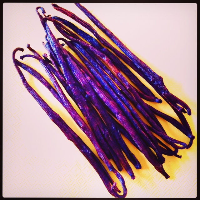 Vanilj Vanilla Memories Minnen Dofter Perfumes