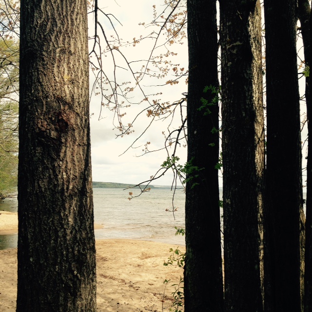 Let go Släpp taget Acceptance