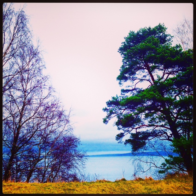 Racism Diversity Oneness