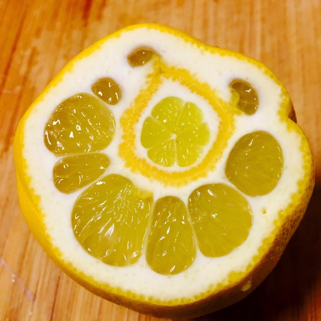 Delpersonligheter, Psykosyntes, Inre orkester