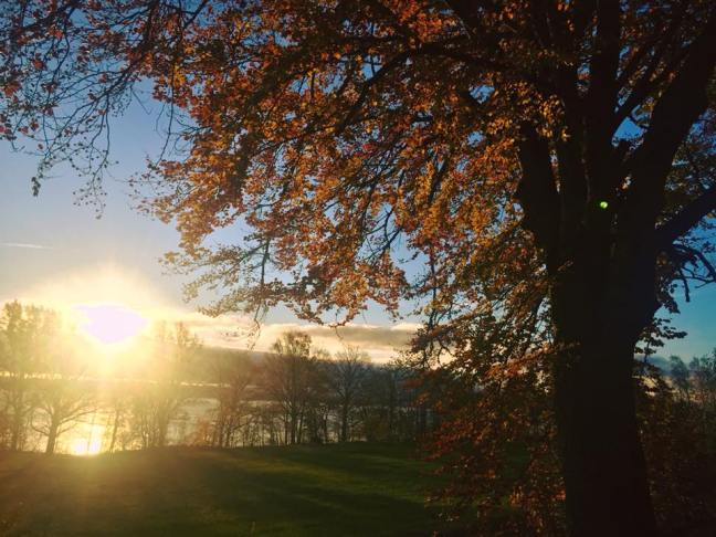 23031649_10154896063076669_7178857938428001376_n