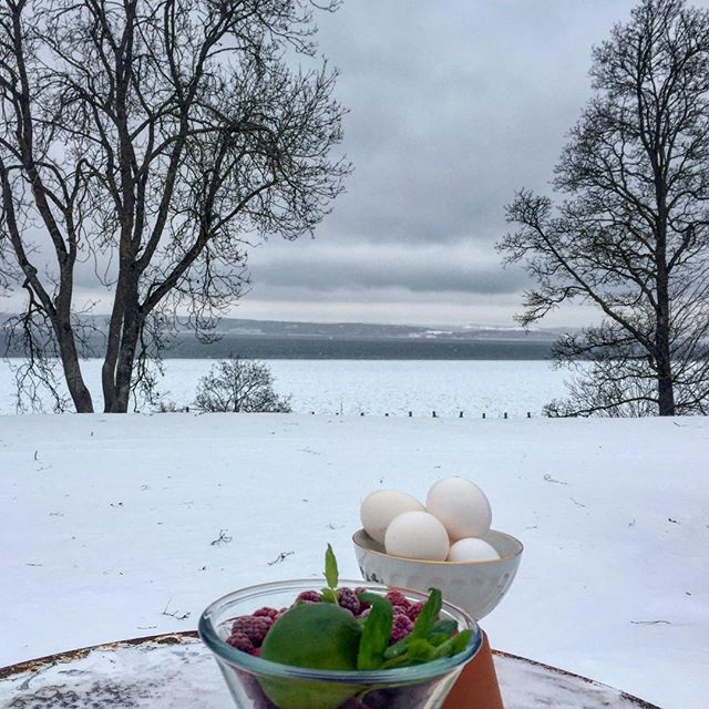 28156445_1845680198778243_8559597541476270080_n